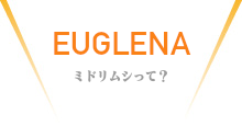 クラブについて